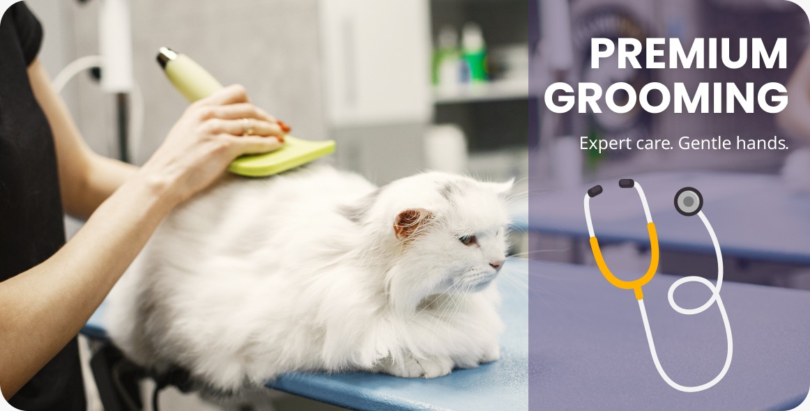Premium Grooming