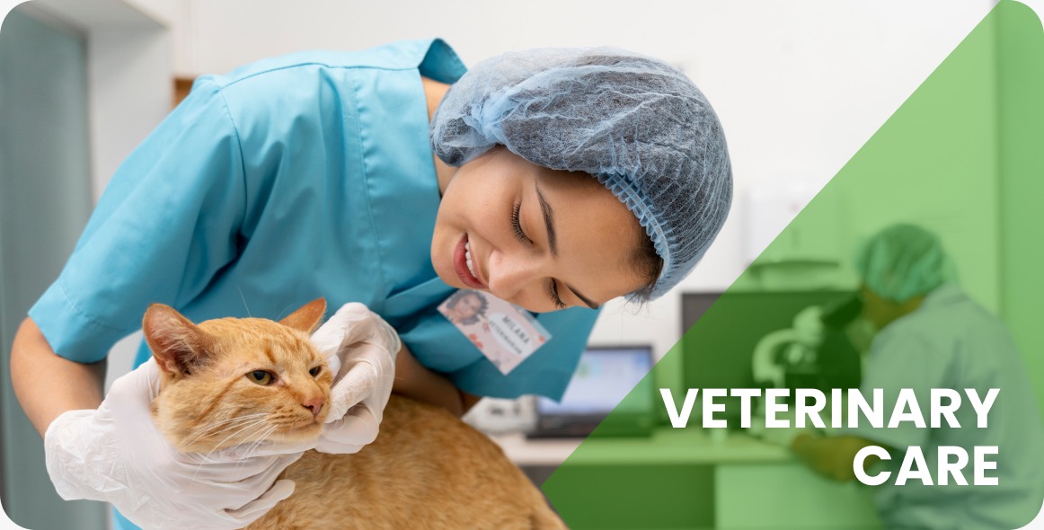 veterinary-care